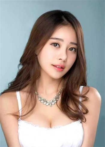 pr18小狐狸