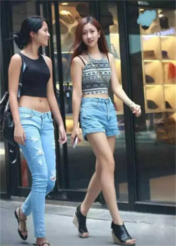 btbit磁力引擎