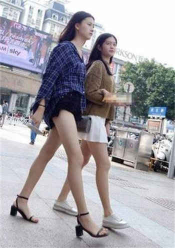 本网站三天一换域名