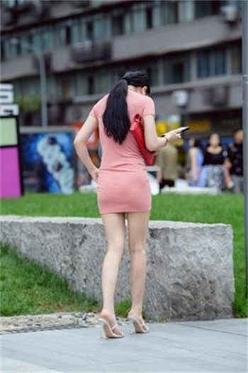 佛系小妾苏卿