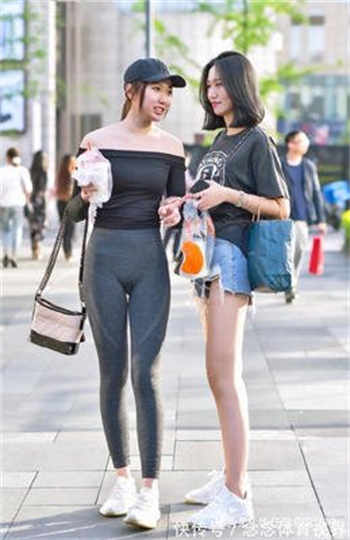 秦萌主app下载
