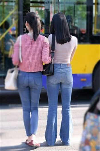 大象成回家入口秘密